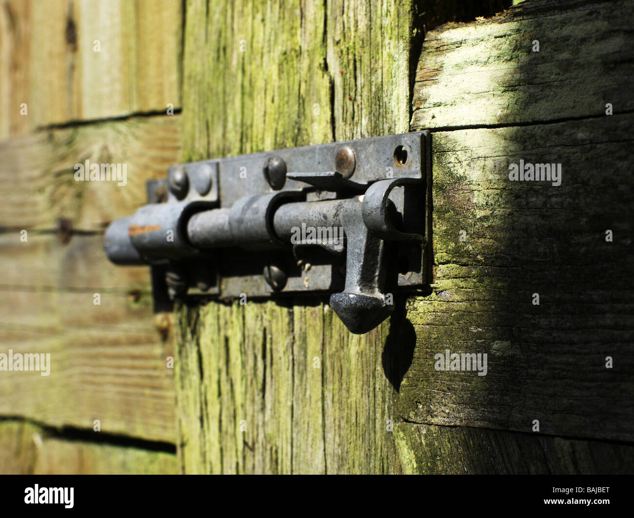 locks and bolts on old wooden gate made of wood Stock Photo Alamy