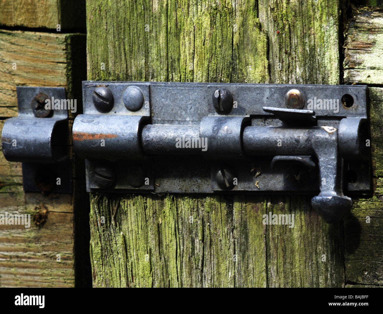 locks and bolts on old wooden gate made of wood Stock Photo Alamy