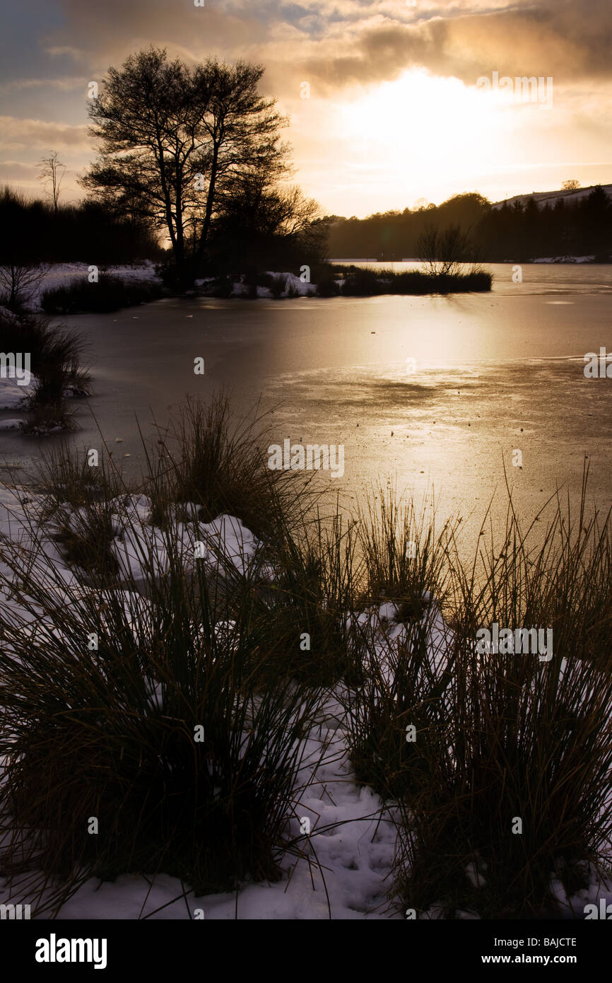 Iced Reflection Cod beck hi-res stock photography and images - Alamy