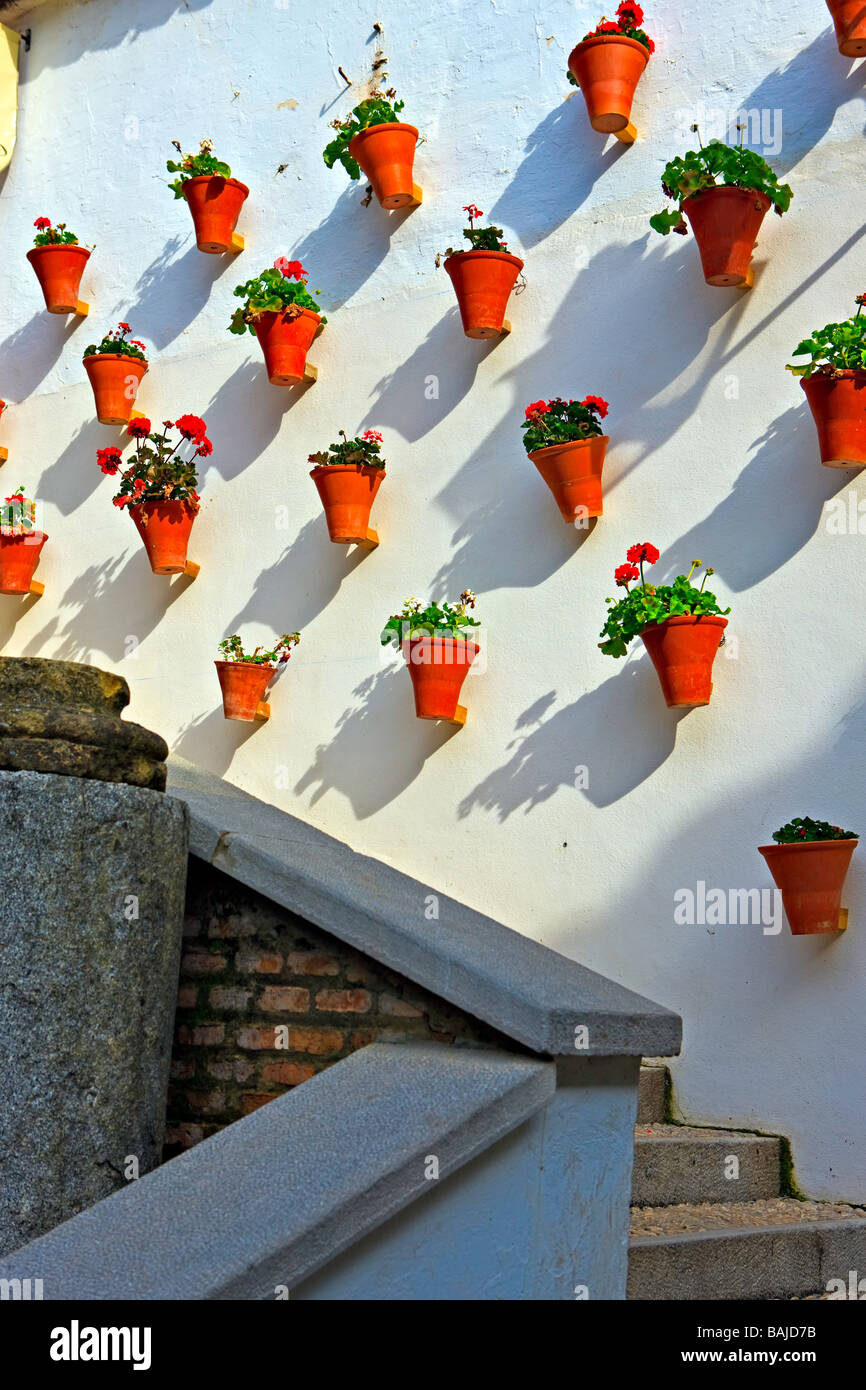 Flower pots adorning the wall of a courtyard in the La Juderia district (the Jewish Quarter) in the City of Cordoba. Stock Photo