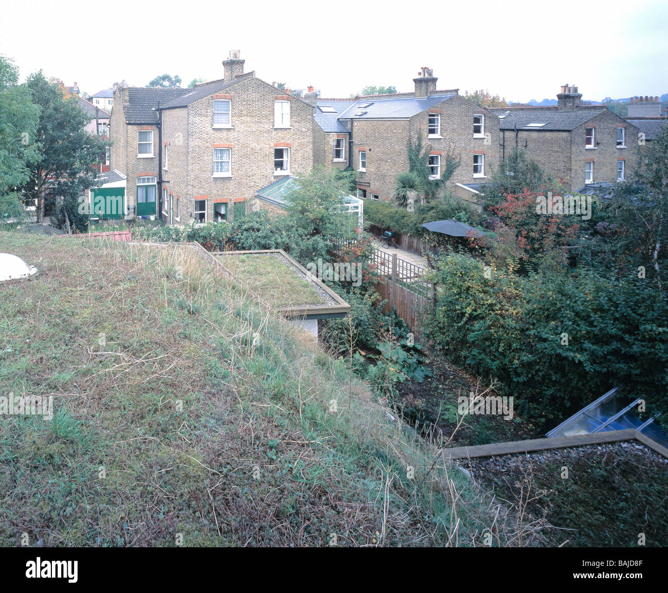 Perry Vale Eco House, London, United Kingdom, Jon Broome Architects