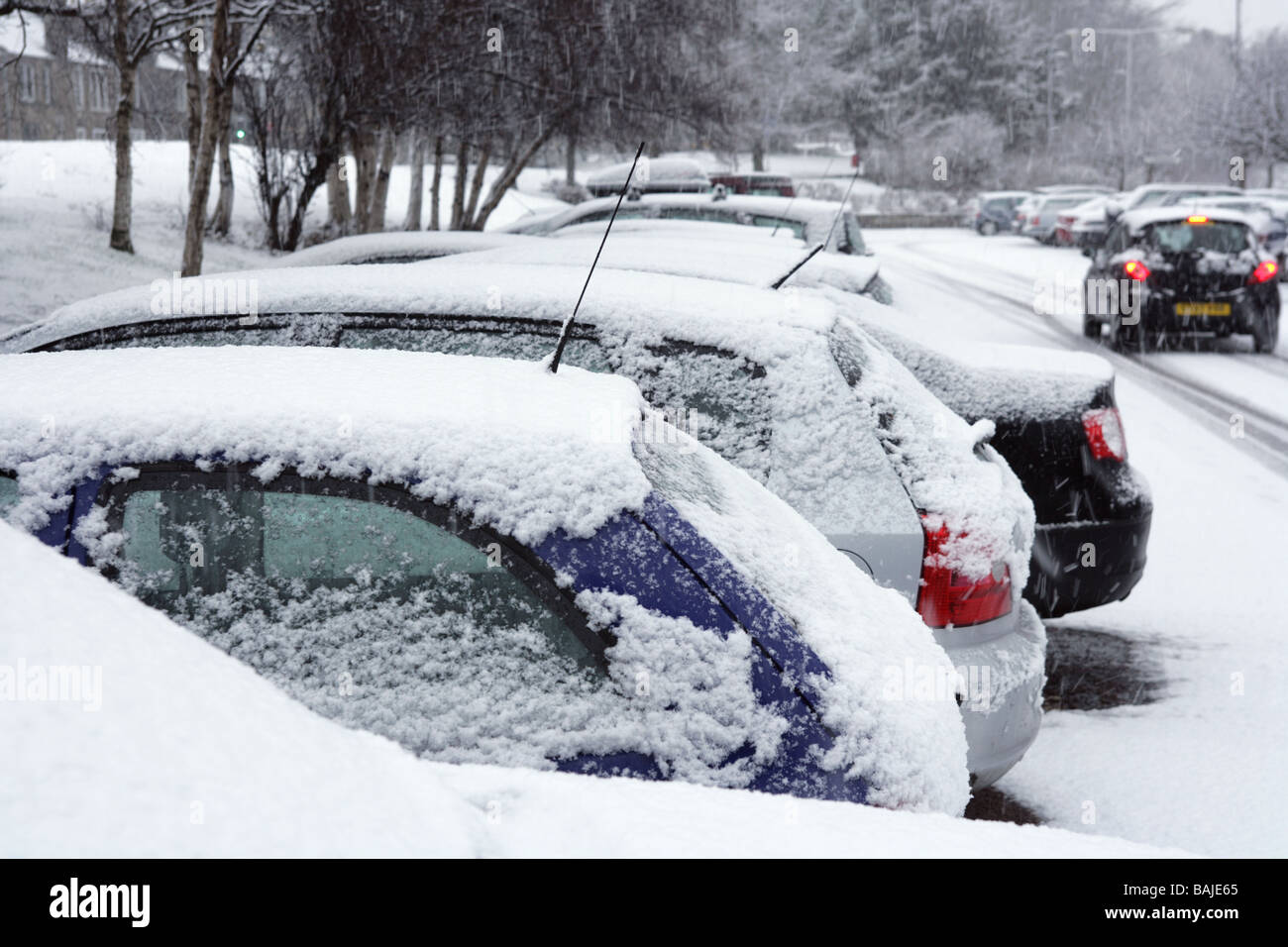 Parked cars covered in snow Stock Photo
