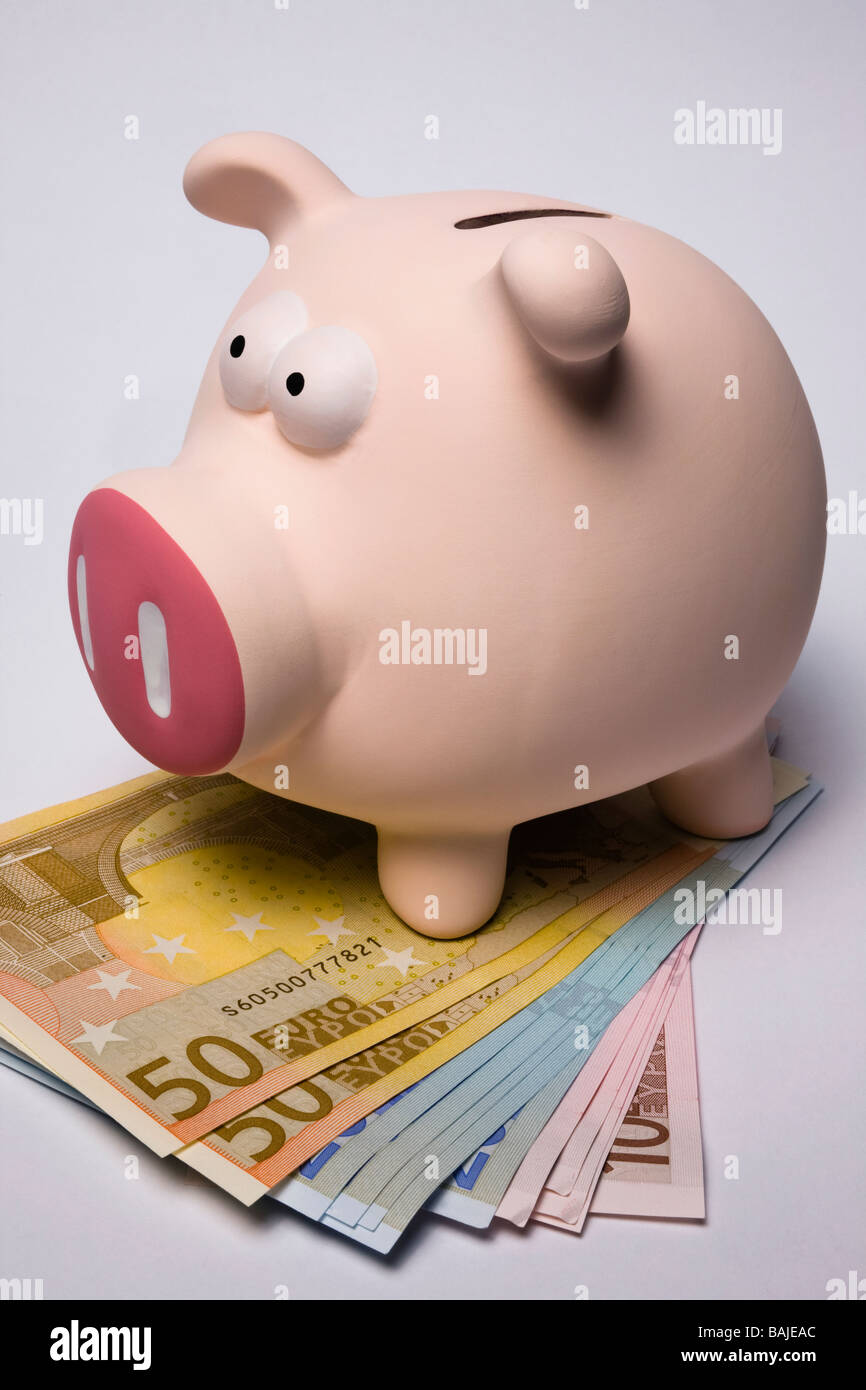 Pink coloured Piggy bank standing on a pile of Euro notes Stock Photo ...