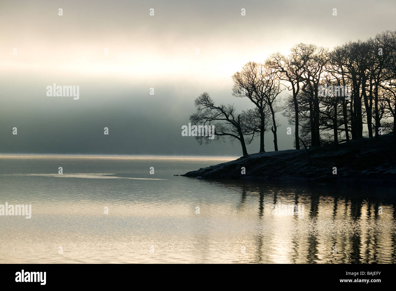 trees on the lake edge silhouetted against sun breaking through a morning mist on Derwent water in the Lake District Stock Photo