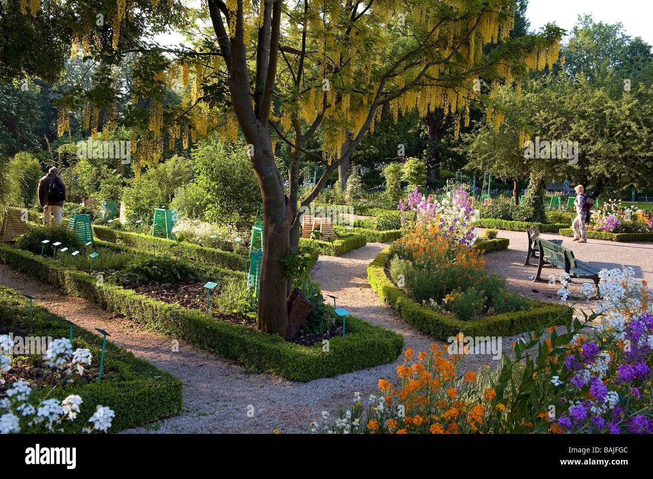 France Cote D Or Dijon Botanical Gardens Of The Arquebusade Stock Photo Alamy