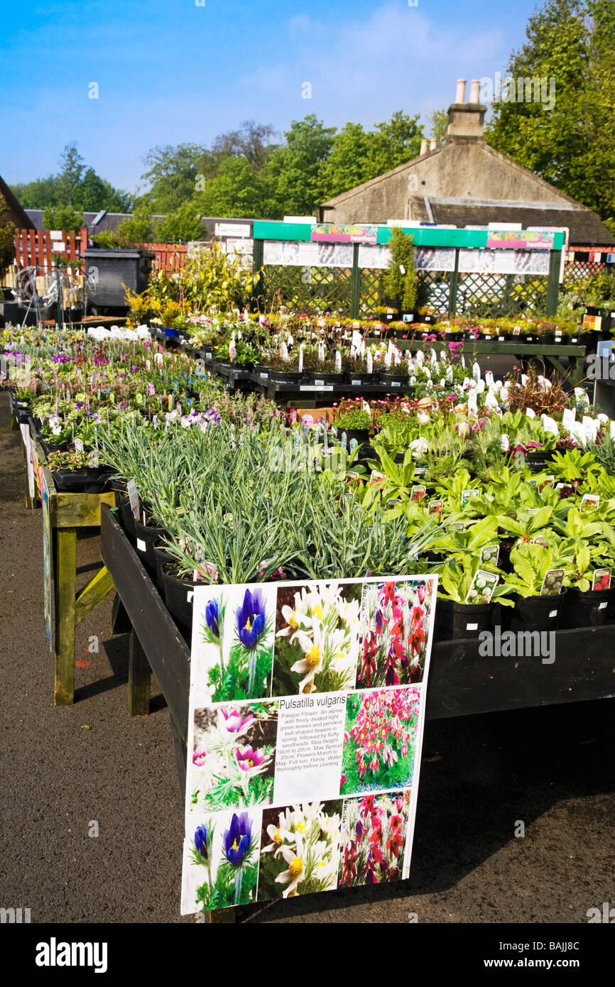 Garden centre hi-res stock photography and images - Alamy