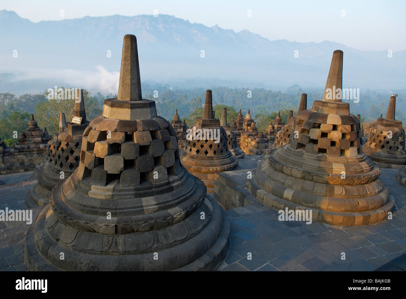 A Silent Witness to the Sailendra Dynasty’s Reach