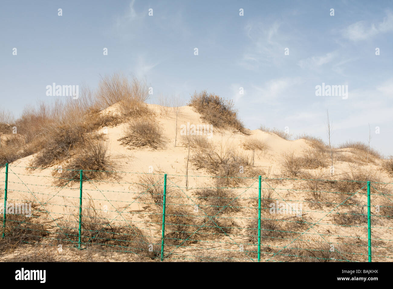 Creeping In Sand Dunes High Resolution Stock Photography and Images - Alamy