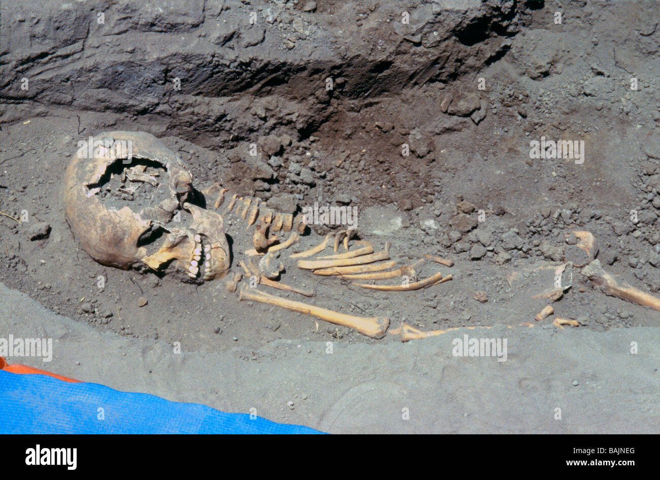 Skeletal remains in situ at the archaeological site of Catalhoyuk, an early Neolithic settlement, central Anatolia Turkey Stock Photo