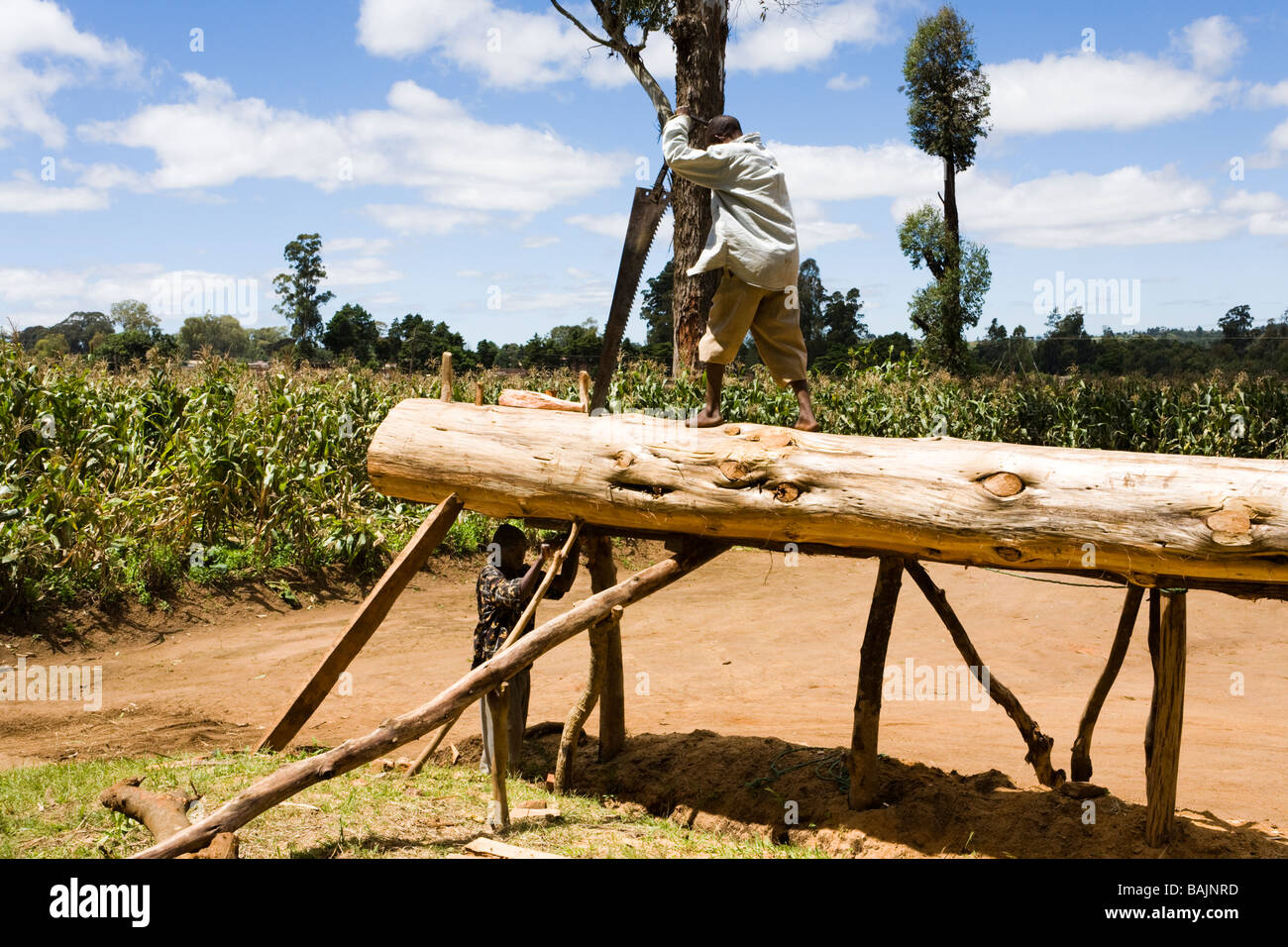 Pit sawing a log at Dedza, Malawi, Africa Stock Photo