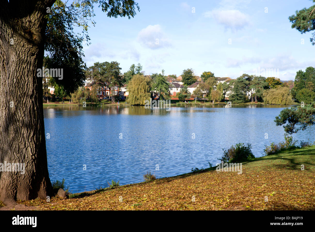 roath park lake cardiff sourh wales uk Stock Photo