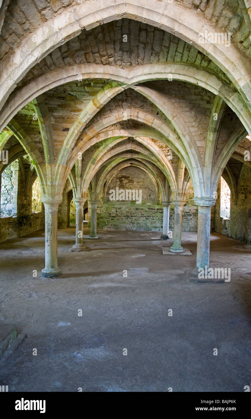 Medieval vaulted ceiling hi-res stock photography and images - Alamy, image size:834x1390