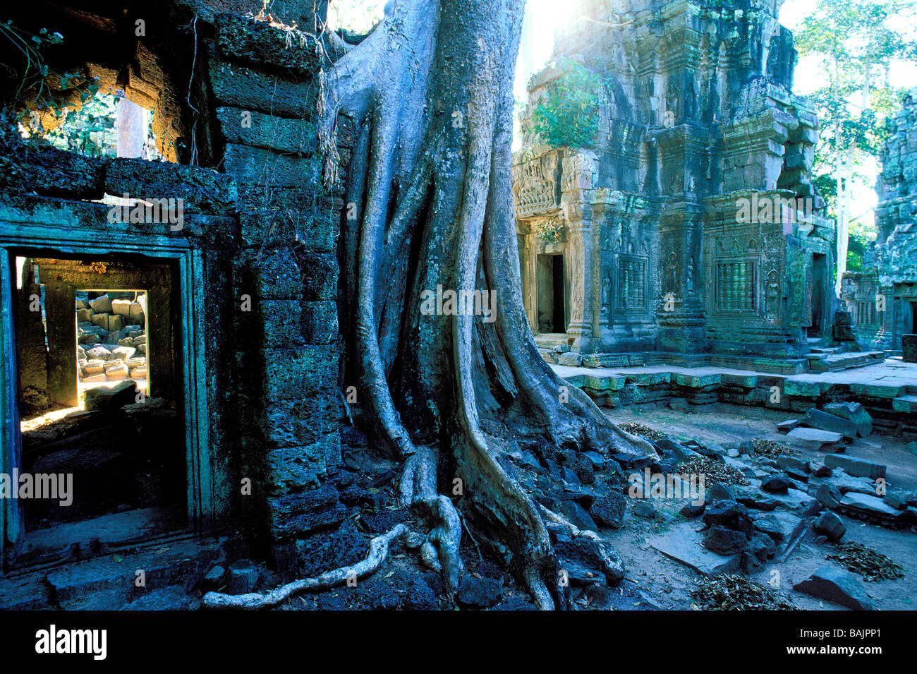 Cambodia, Siem Reap Province, Angkor site listed as World Heritage by UNESCO, Ta Prohm Temple, built in 1186 by King Jayavarman Stock Photo