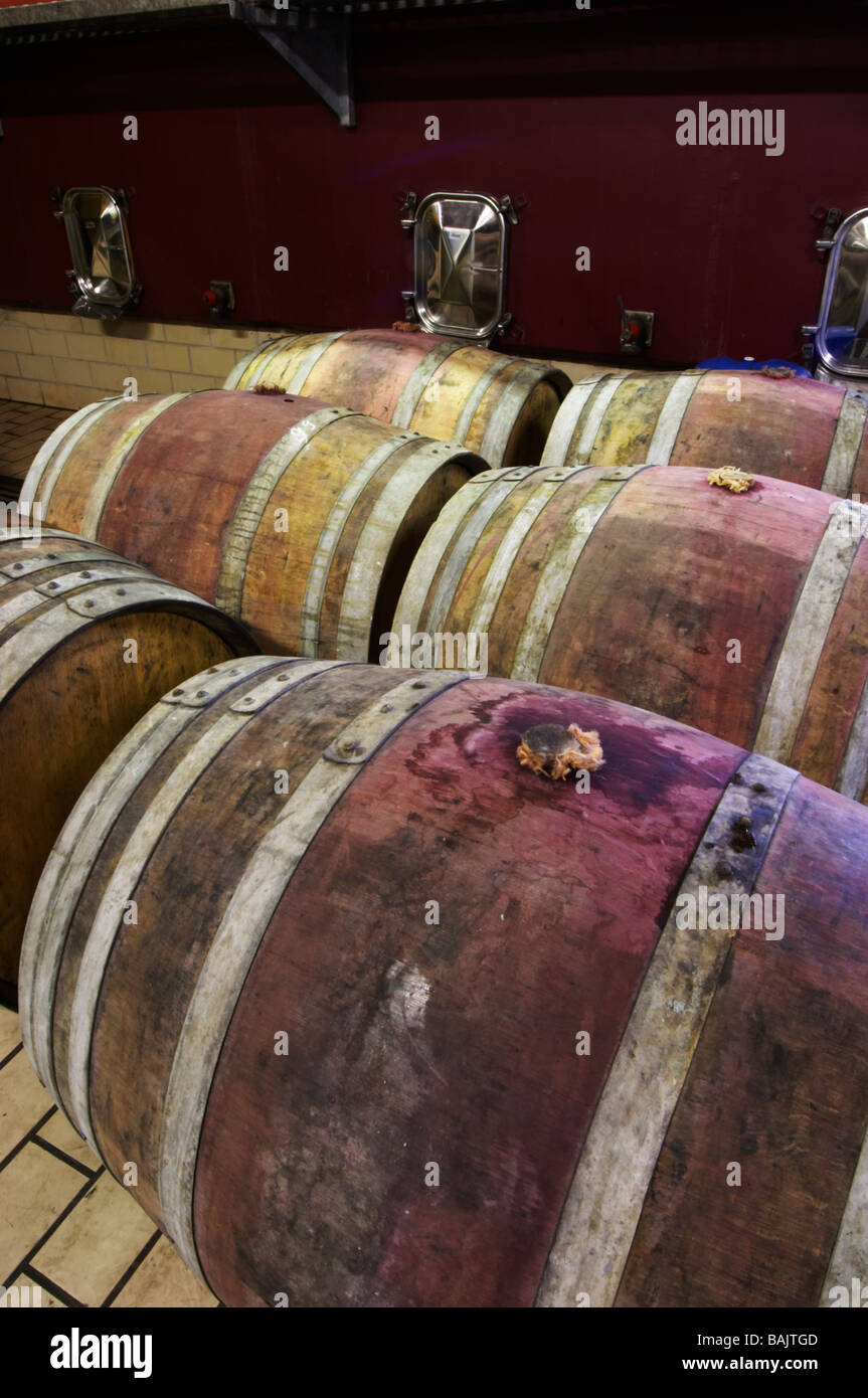 barrel aging cellar domaine parent pommard cote de beaune burgundy france Stock Photo