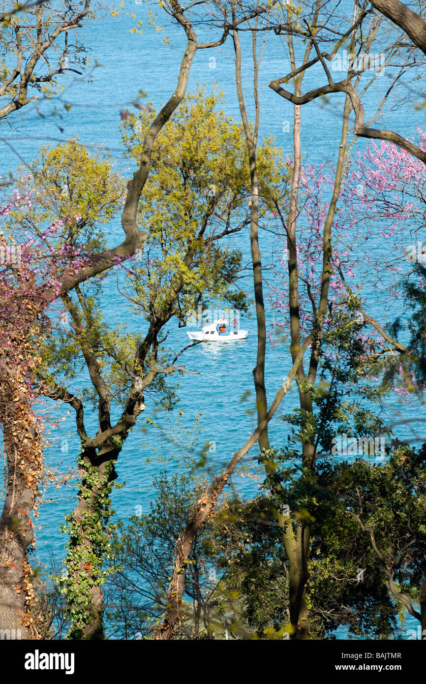 Istanbul bosphorus view from Emirgan Park, Istanbul, Turkey (Türkiye), 2009 Stock Photo