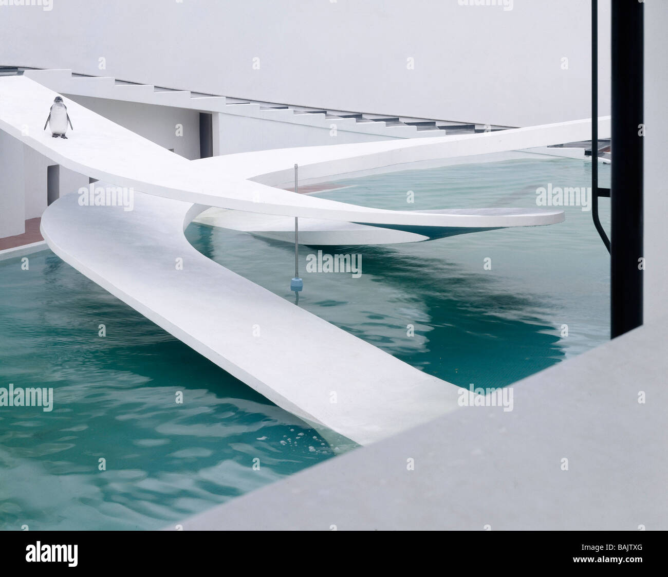 Penguin Pool London Zoo, London, United Kingdom, Berthold Lubetkin and