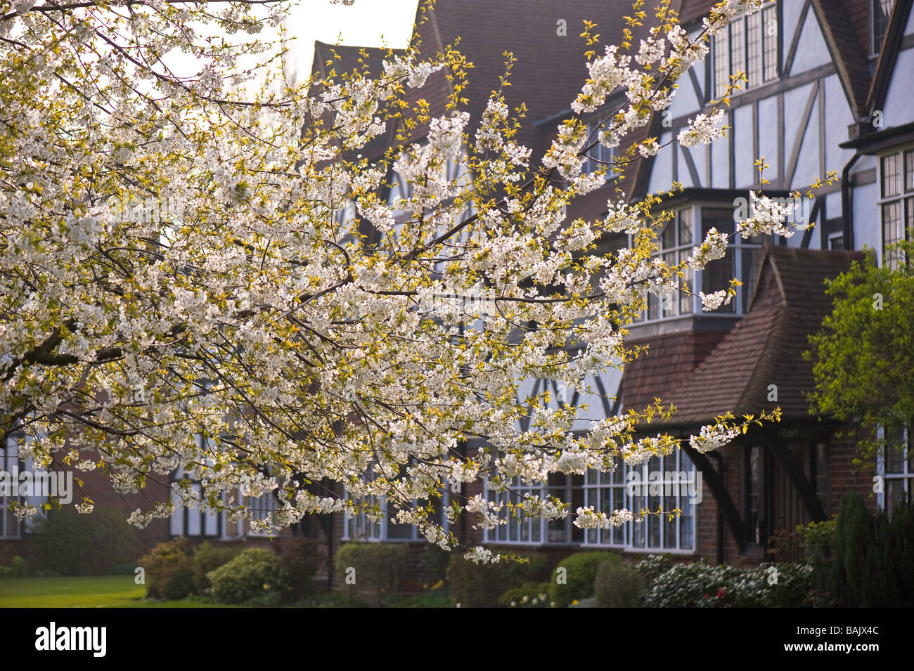 Property Ealing W5 London United Kingdom Stock Photo Alamy