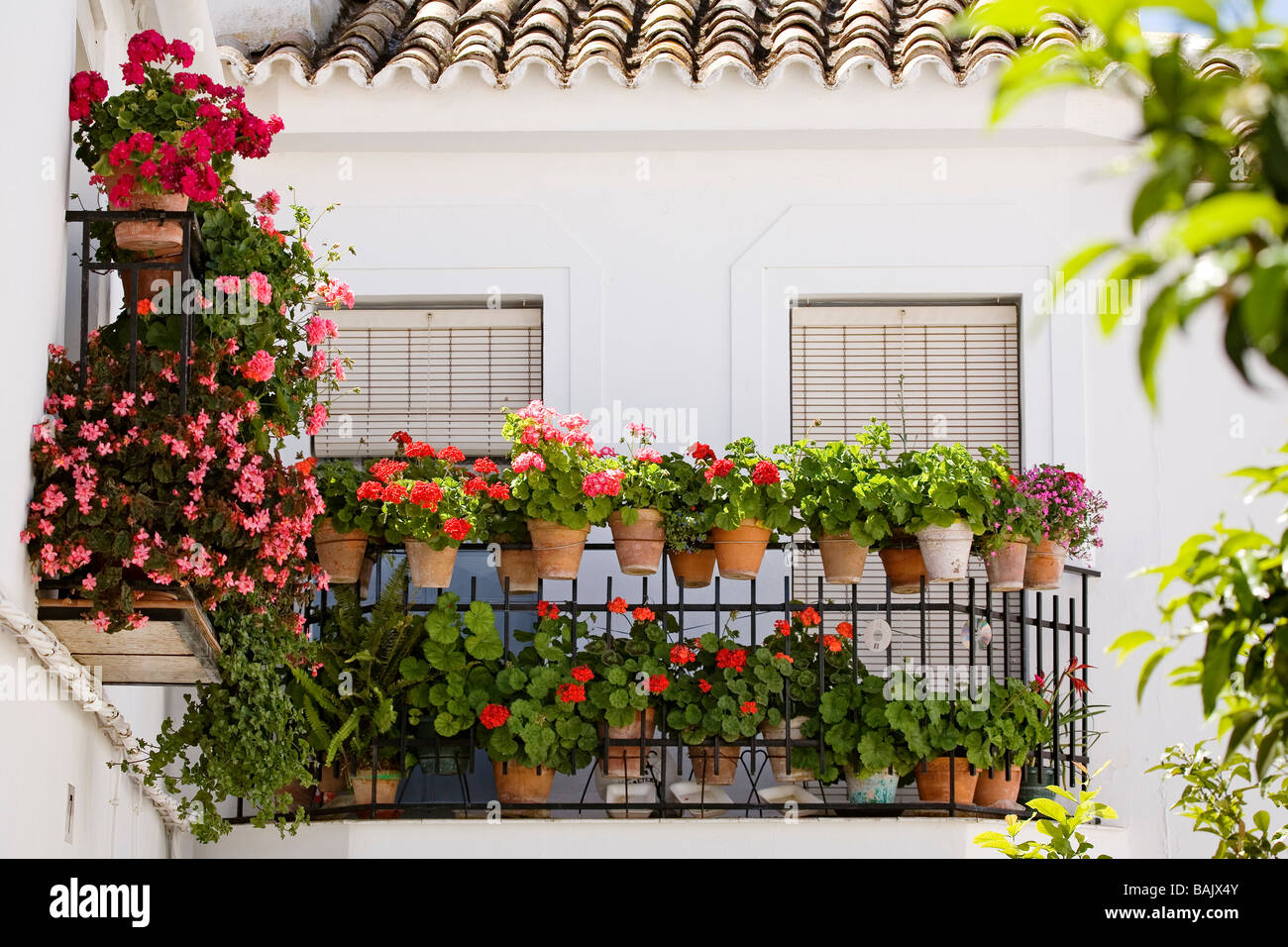 Balcony with Flowers in the White Village of Zahara de la Sierra Cádiz Andalusia Spain Stock