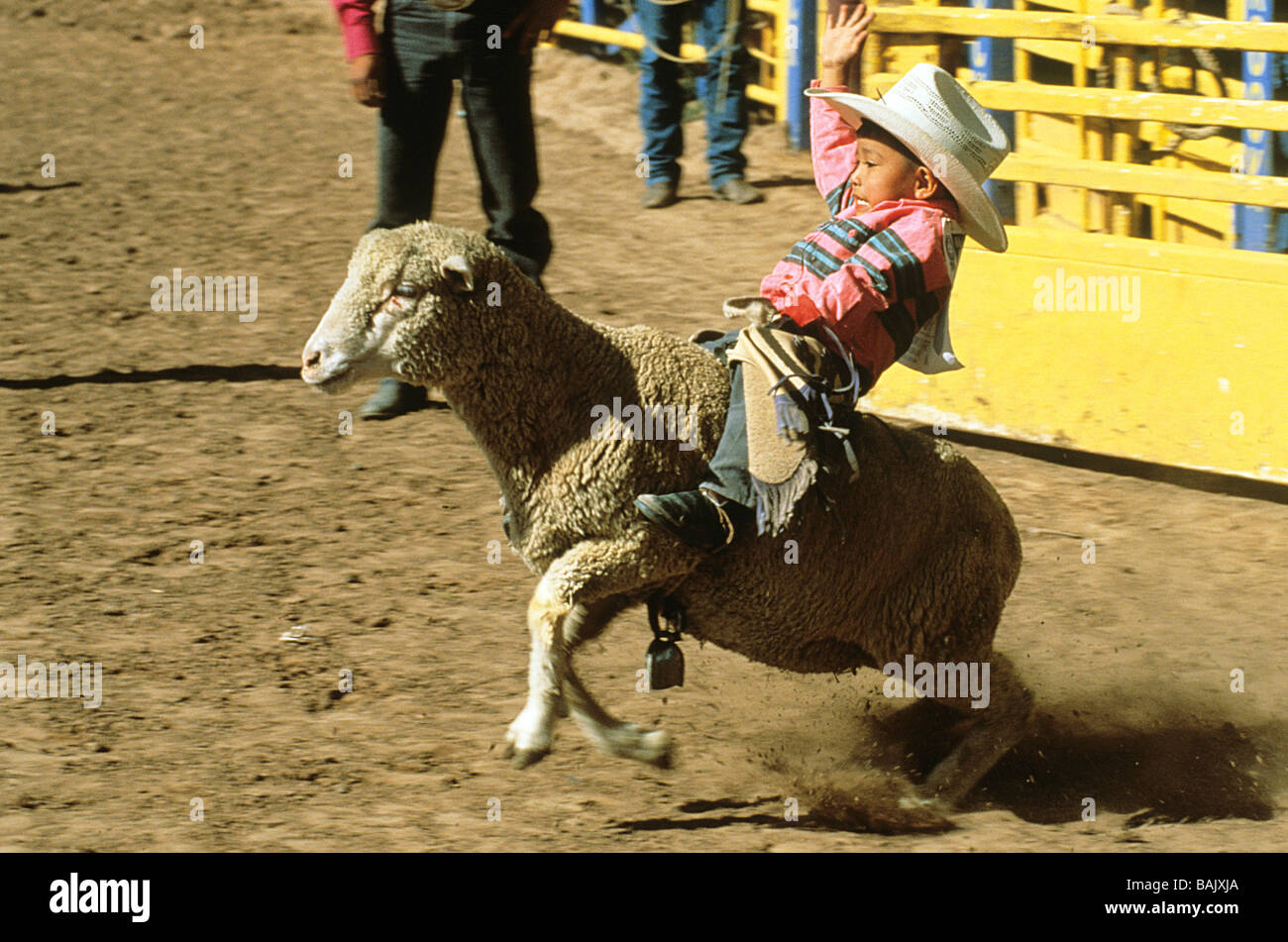 Boy at rodeo hi-res stock photography and images - Alamy
