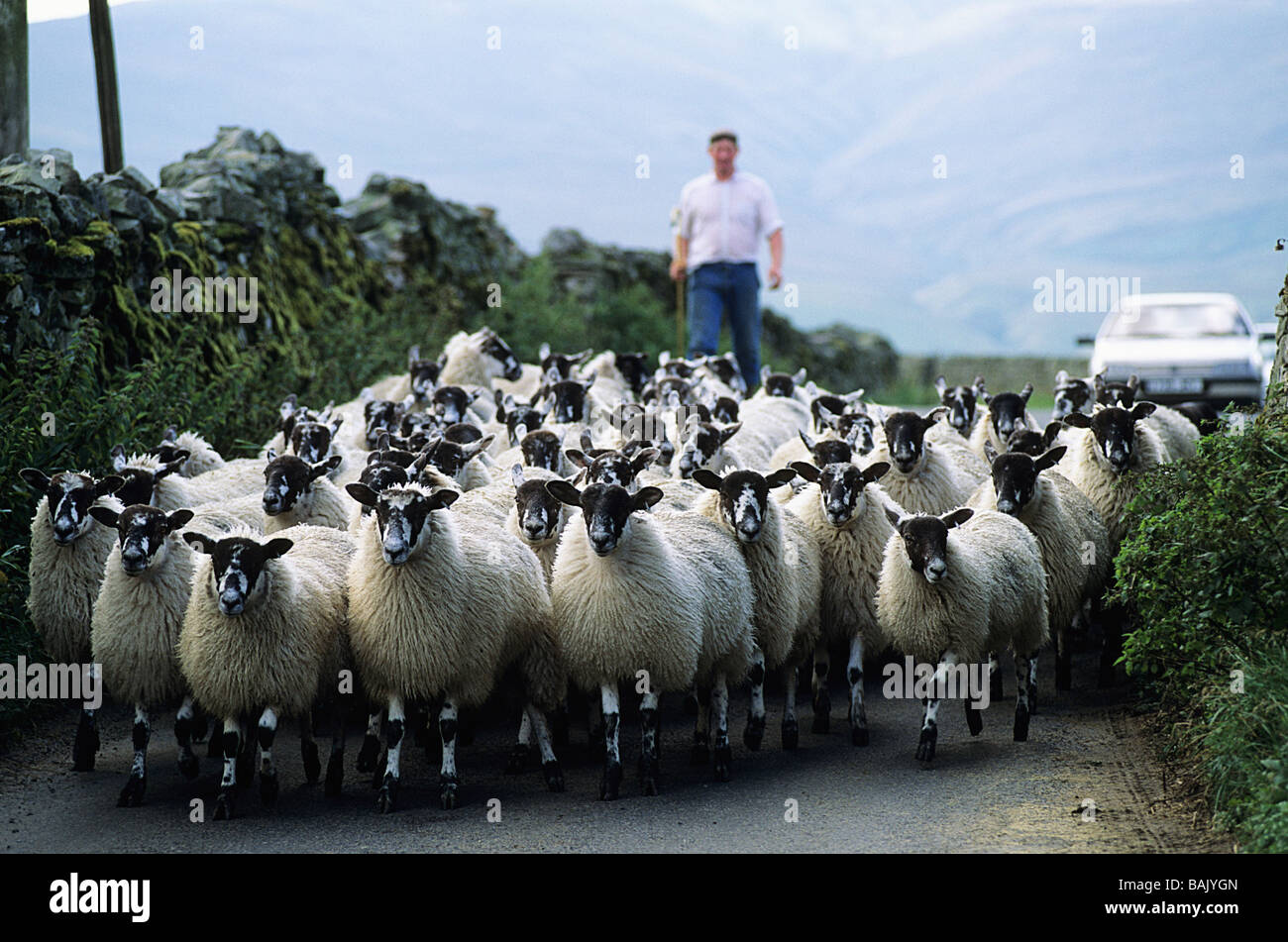 United Kingdom, Yorkshire Stock Photo