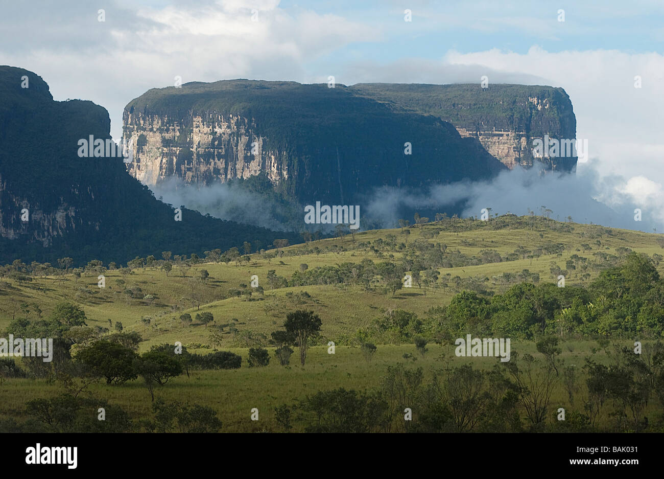 Venezuela, Bolivar State, Gran Sabana Region, Canaima National Park, listed as World Heritage by UNESCO, landscape of the Stock Photo