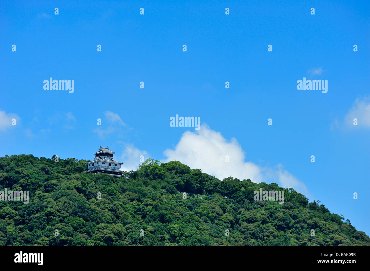 iwakuni castle, iwakuni, yamaguchi prefecture, chugoku, honshu, japan