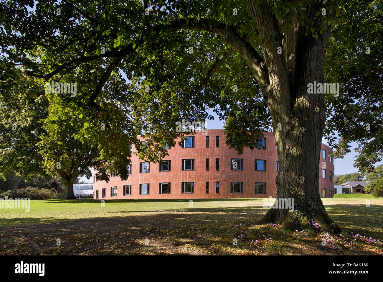 SANGER BUILDING BRYANSTON SCHOOL, HOPKINS ARCHITECTS, BLANDFORD
