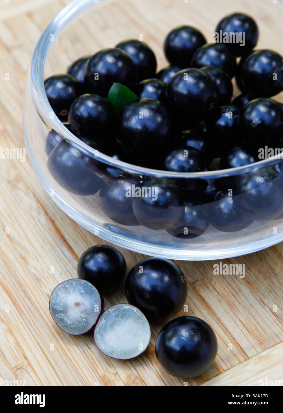 The Jabuticaba also called Brazilian Grape Tree fruit displayed