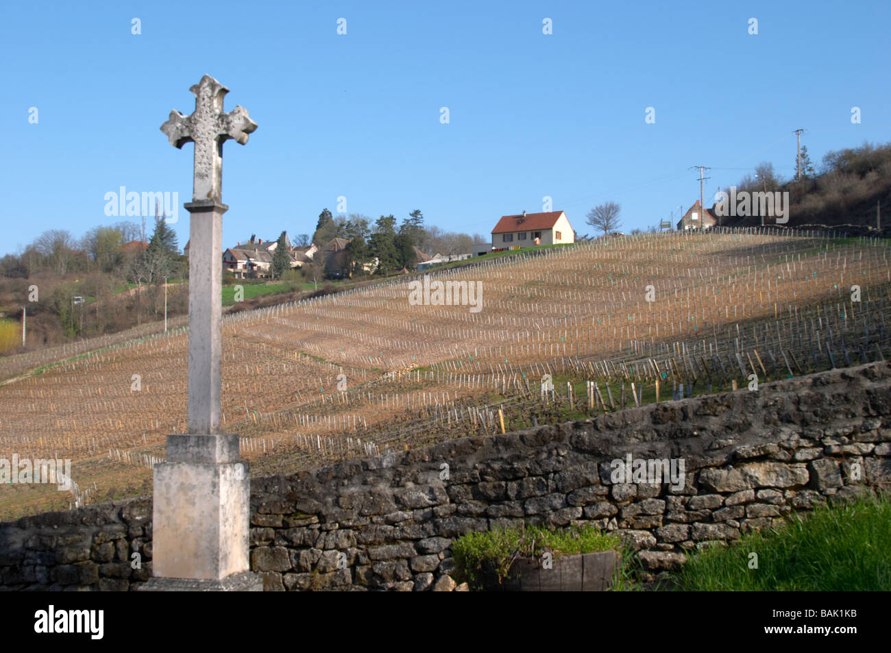 vineyard dezize les maranges santenay cote de beaune burgundy france Stock Photo