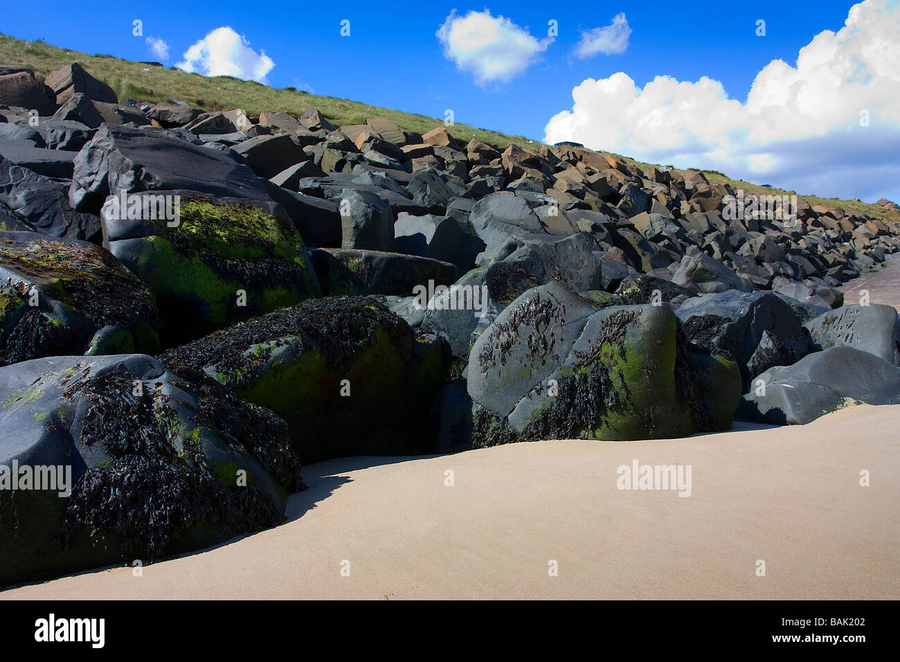Large sea eroded whin stone rocks used as coastal erosion defence Cambois beach Northumberland Stock Photo