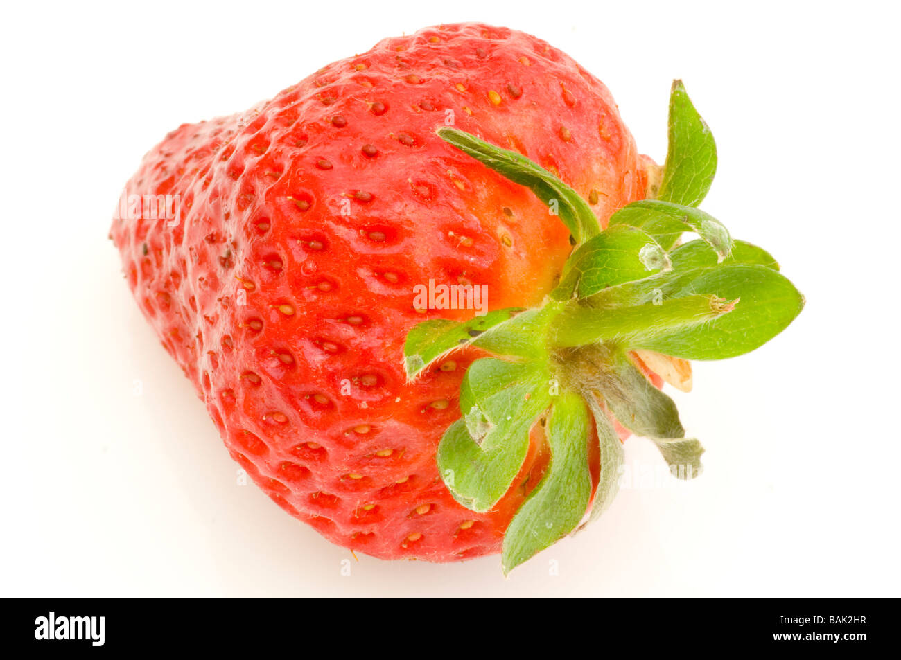 A Single Strawberry  Red Fresh Strawberries summer Fruit Stock Photo