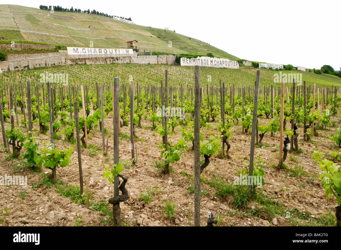Chapoutier hires stock photography and images Alamy