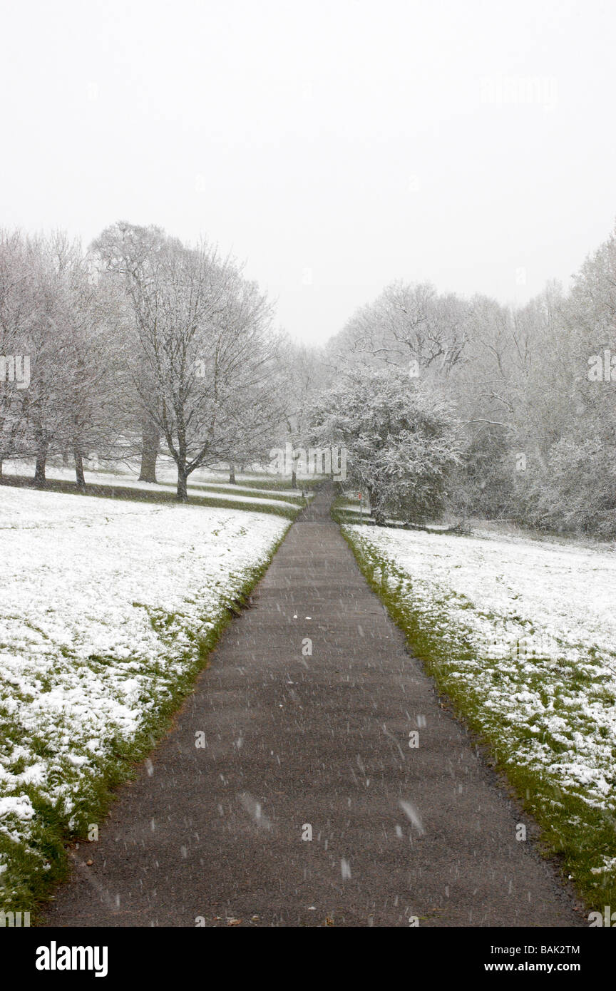 A footpath in winter with snow covered trees and grass Stock Photo - Alamy