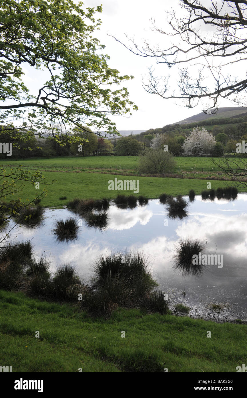 Countryside in Greenfield, Oldham, Lancashire Stock Photo Alamy