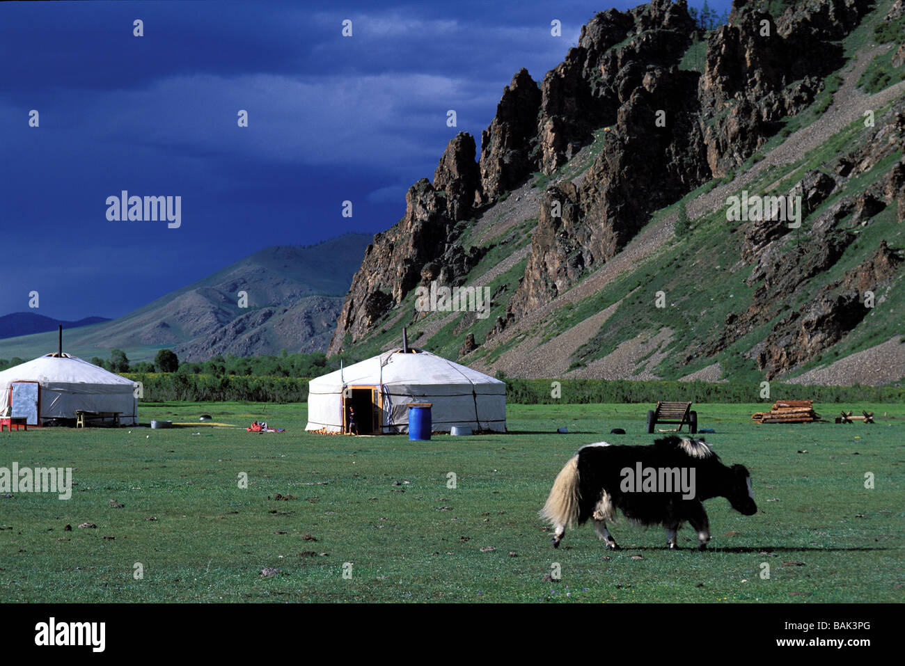 Mongolia, Övörkhangai province, nomadic camp in the valley of the ...