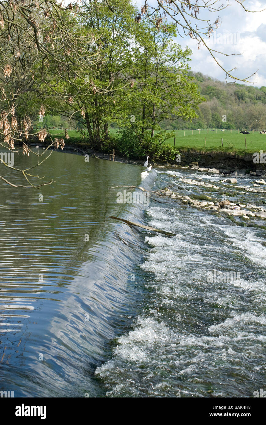 River Calder in Lancashire Stock Photo Alamy