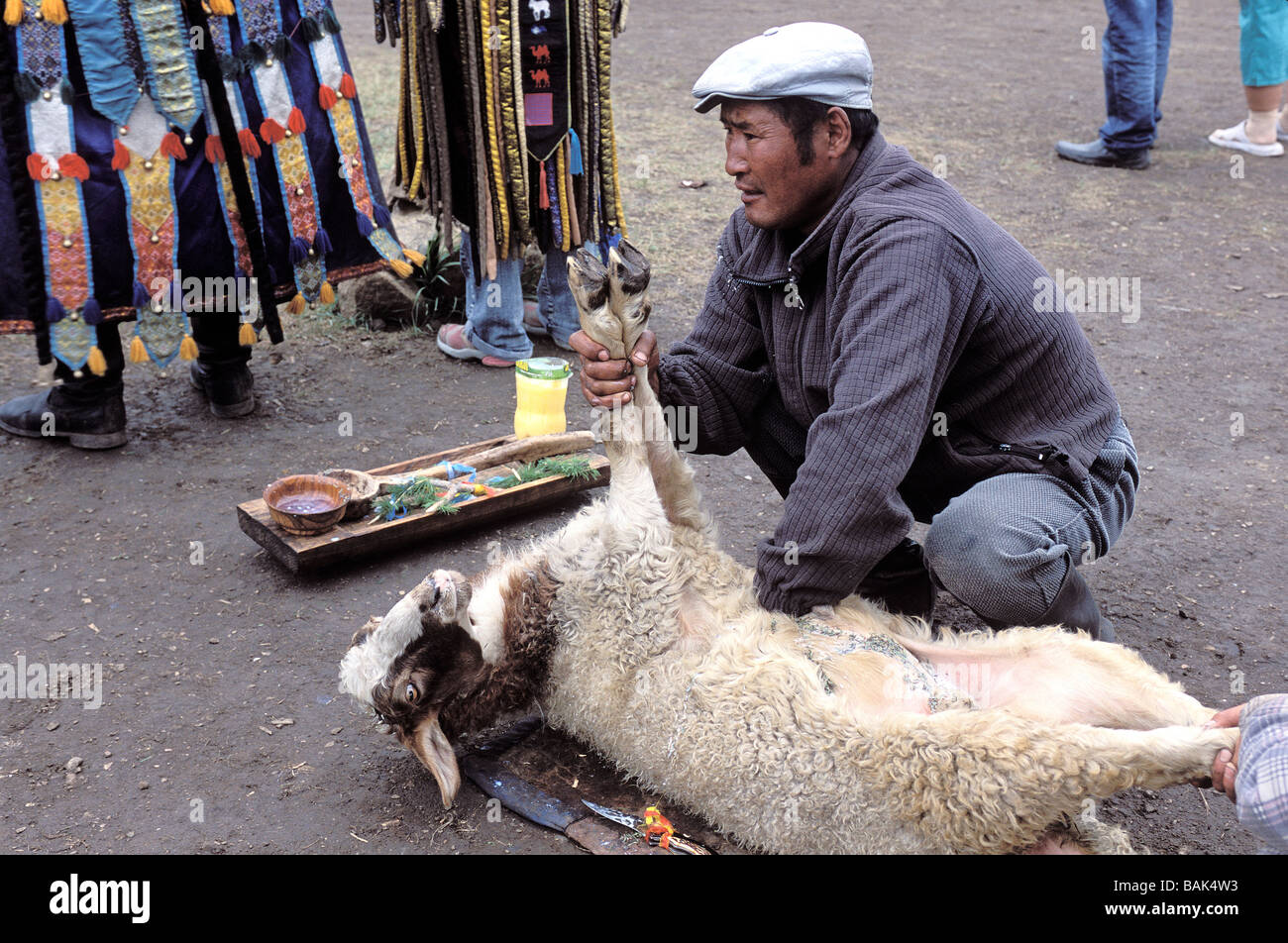 Mongolia, Shamanism initiation, Shaman, sheep sacrifice Stock Photo