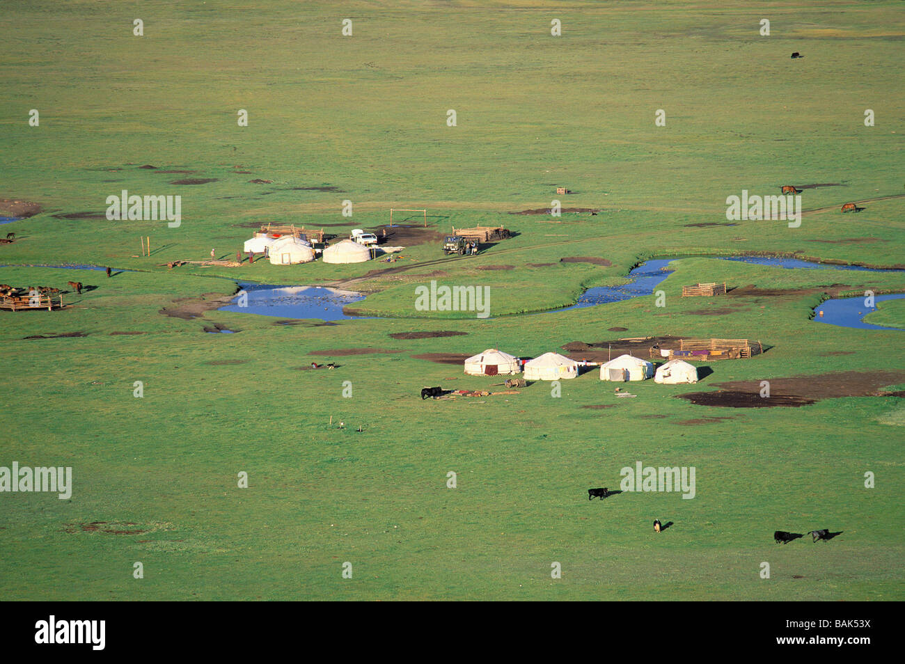 Mongolia, Arkhangai Province, Snake Valley, nomad camp and yurts Stock Photo