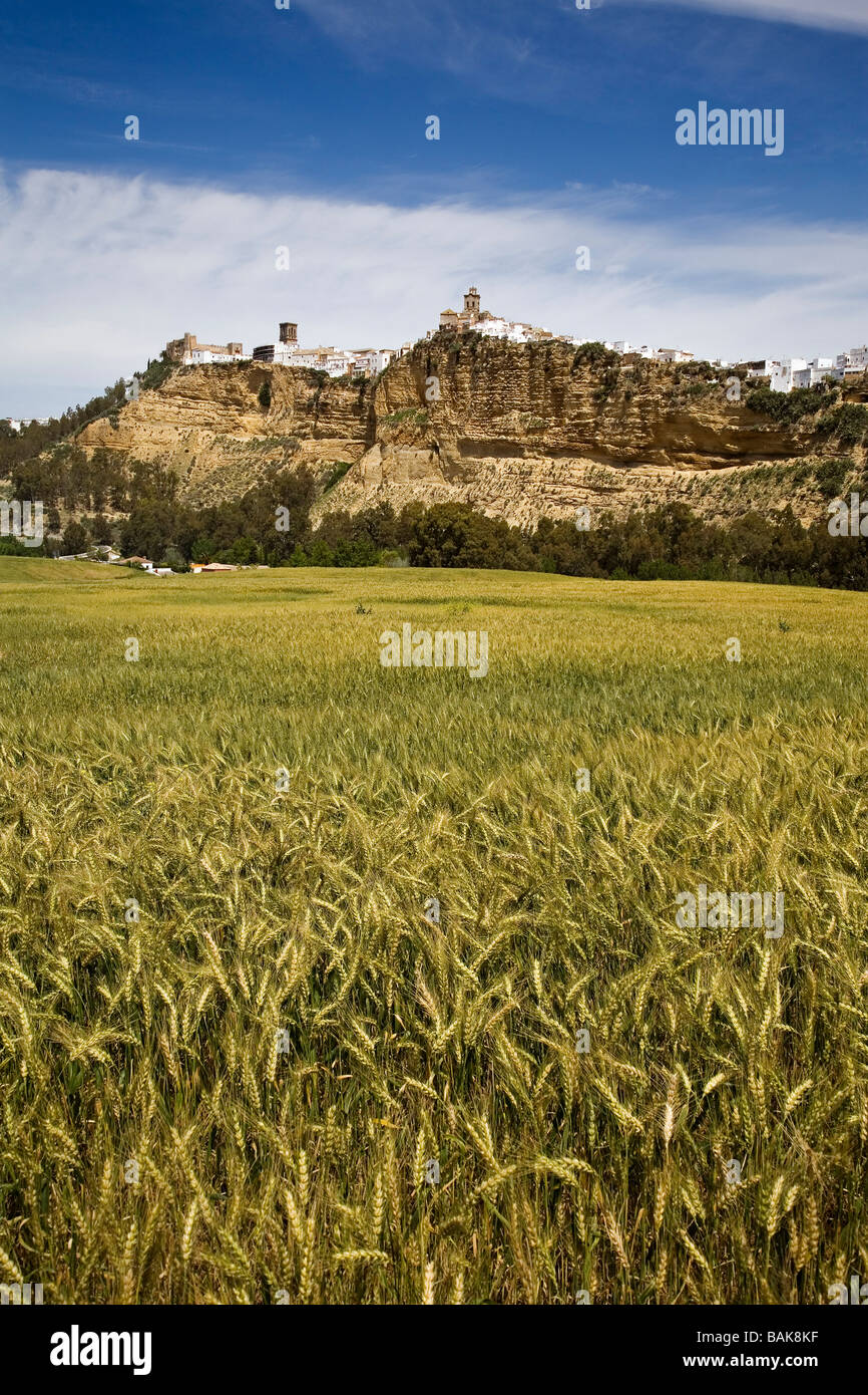 Fotos de la agricultura hi-res stock photography and images - Alamy