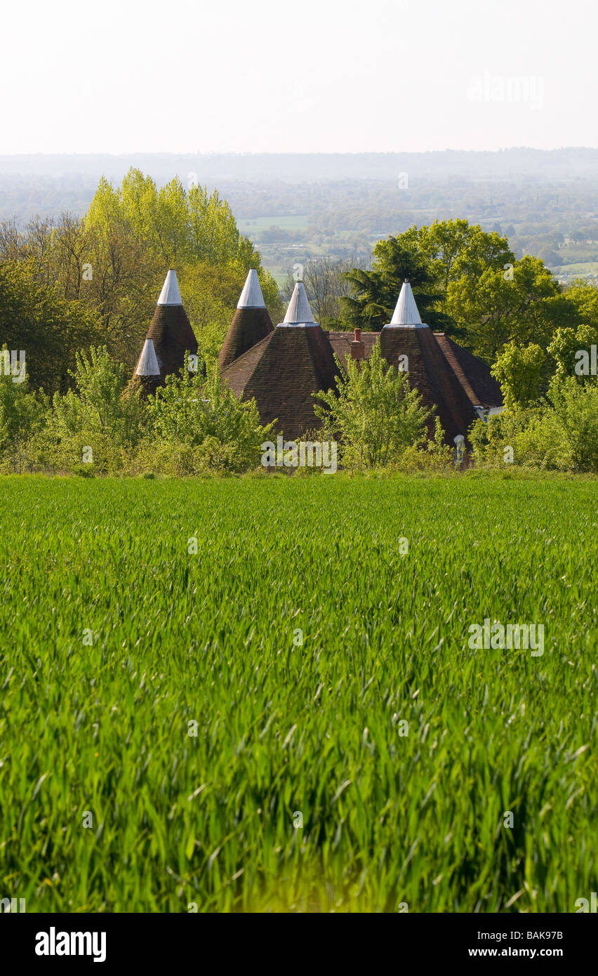 Boughton Monchelsea, Maidstone, Kent, UK. Oast Houses and the Weald