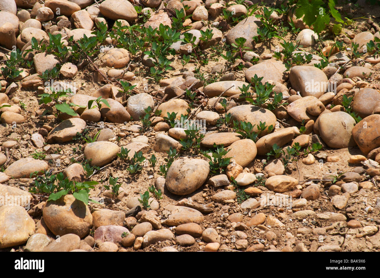 Sable, cailloux et galets