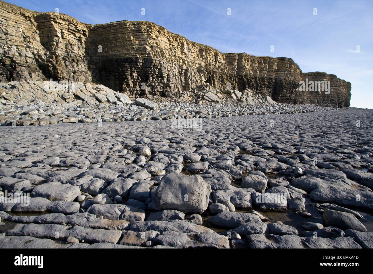 nash point coastline limestone pavement cliff strata geology geological formations, fossils, rock pools,glamorgan Heritage Coast south wales uk gb Stock Photo