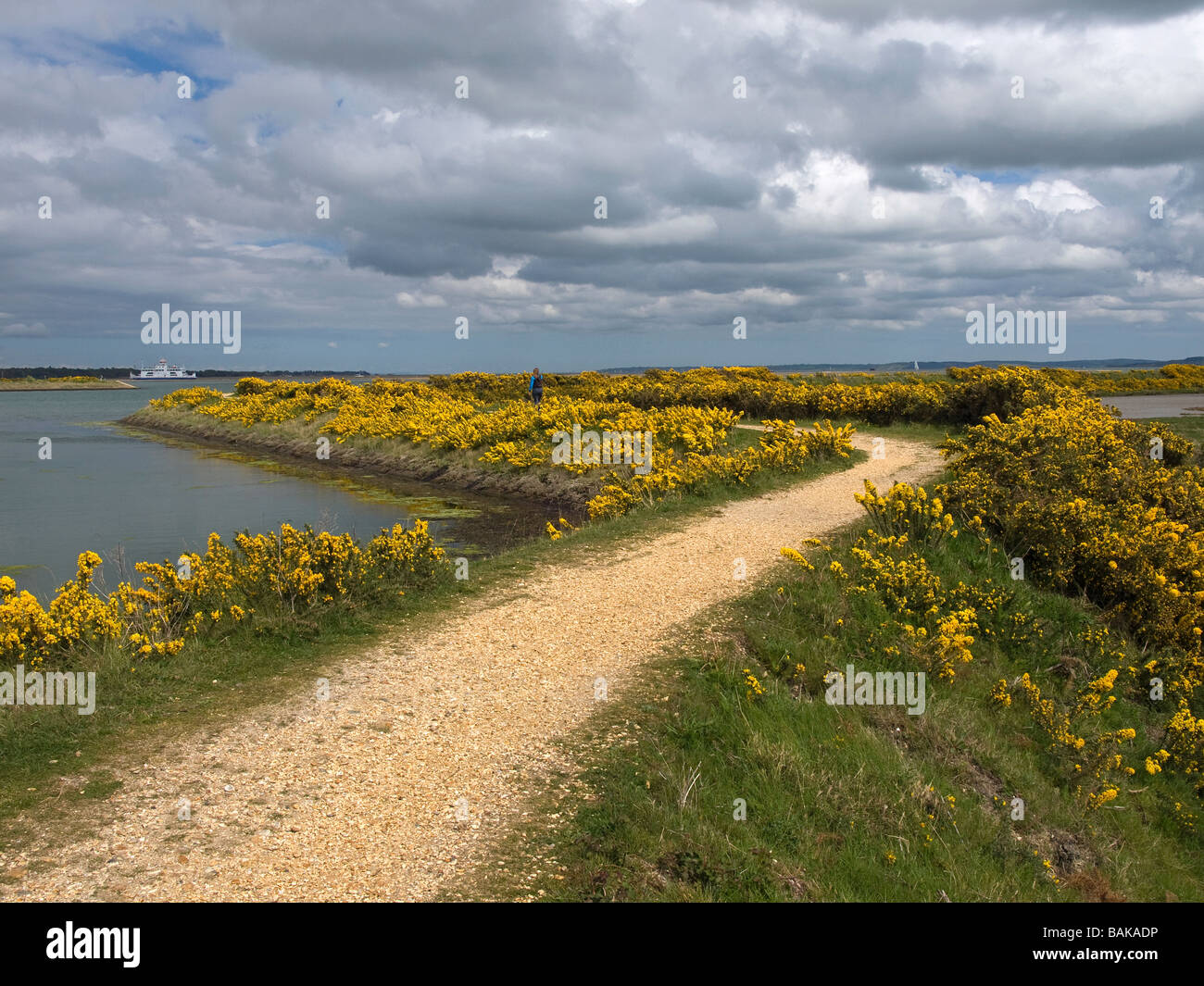 Pennington Marshes Lymington Hampshire UK, with the Isle of Wight Wightlink ferry in the