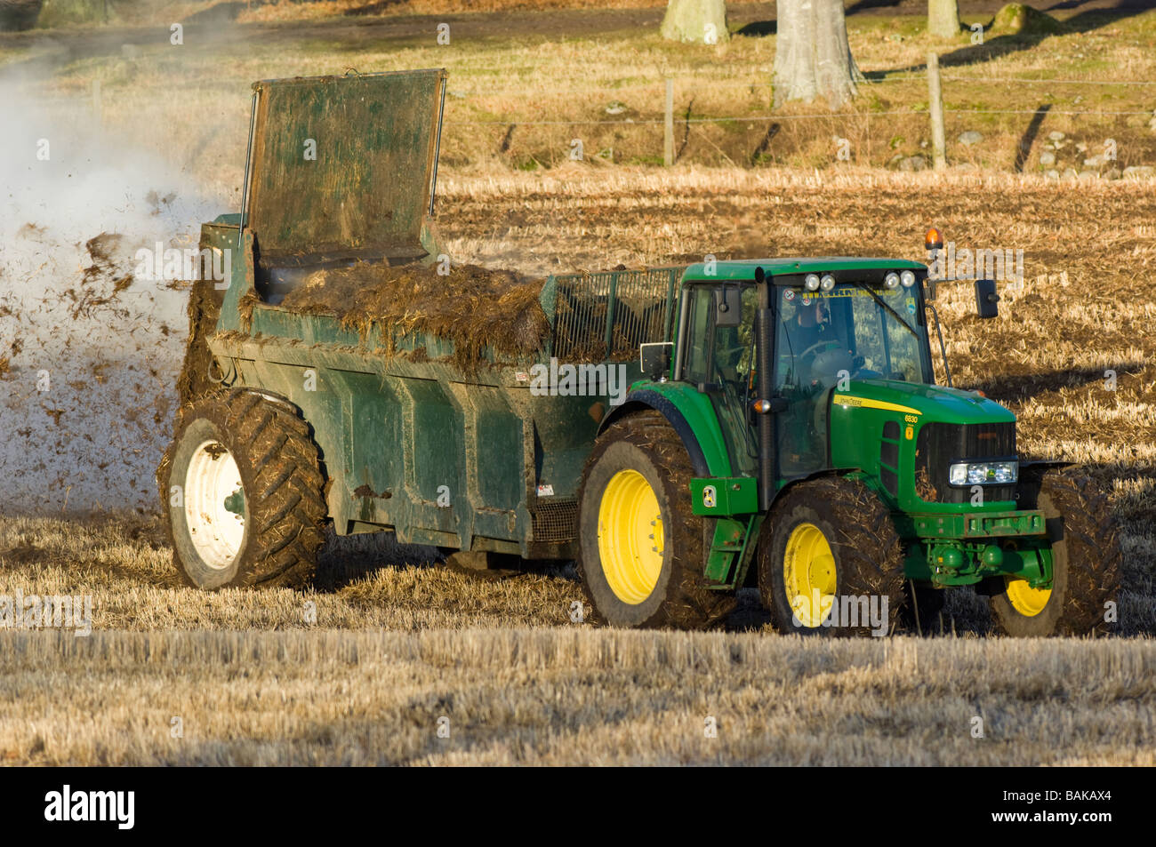 Farmer with a tractor spreading manure on a stubble field