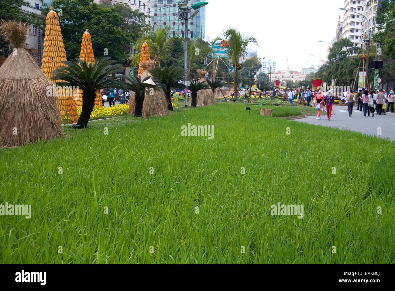Rice paddie landscaping is part of the Tet Lunar New Year celebration in Ho Chi Minh City Vietnam Stock Photo
