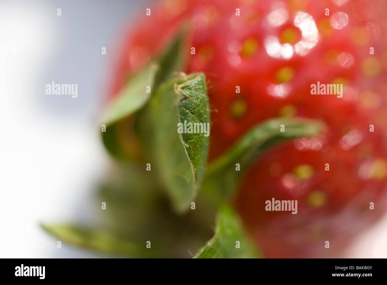 macro red strawberry against white background Stock Photo - Alamy
