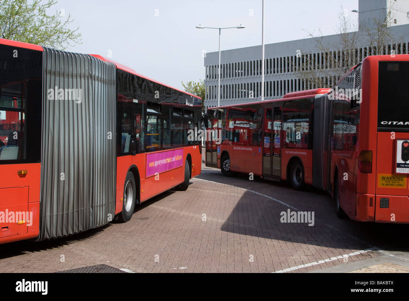 Articulated buses (either motorbuses or trolleybuses), also known as tandem buses ilford essex england uk gb Stock Photo