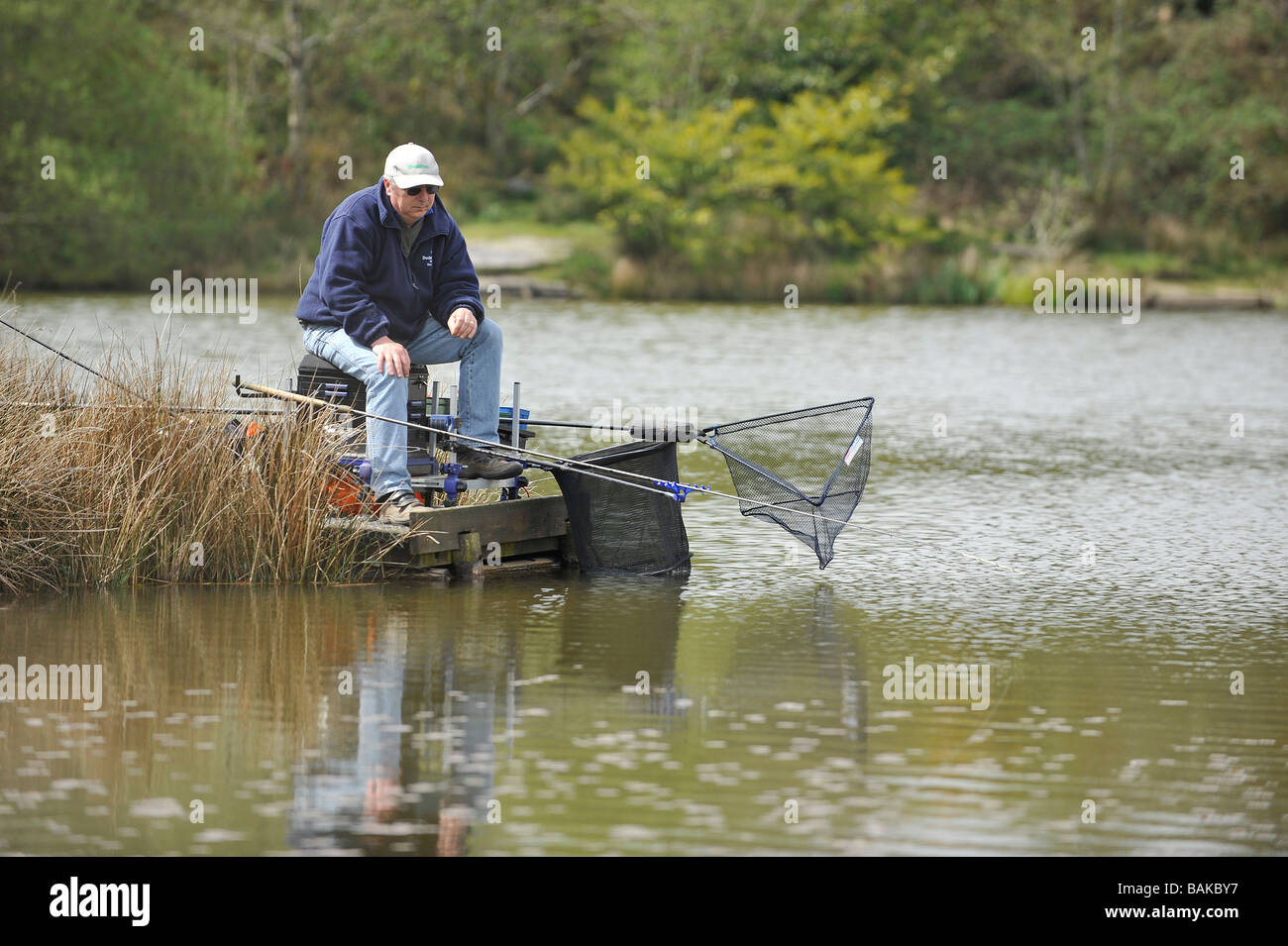 coarse fishing on a carp pond Stock Photo Alamy