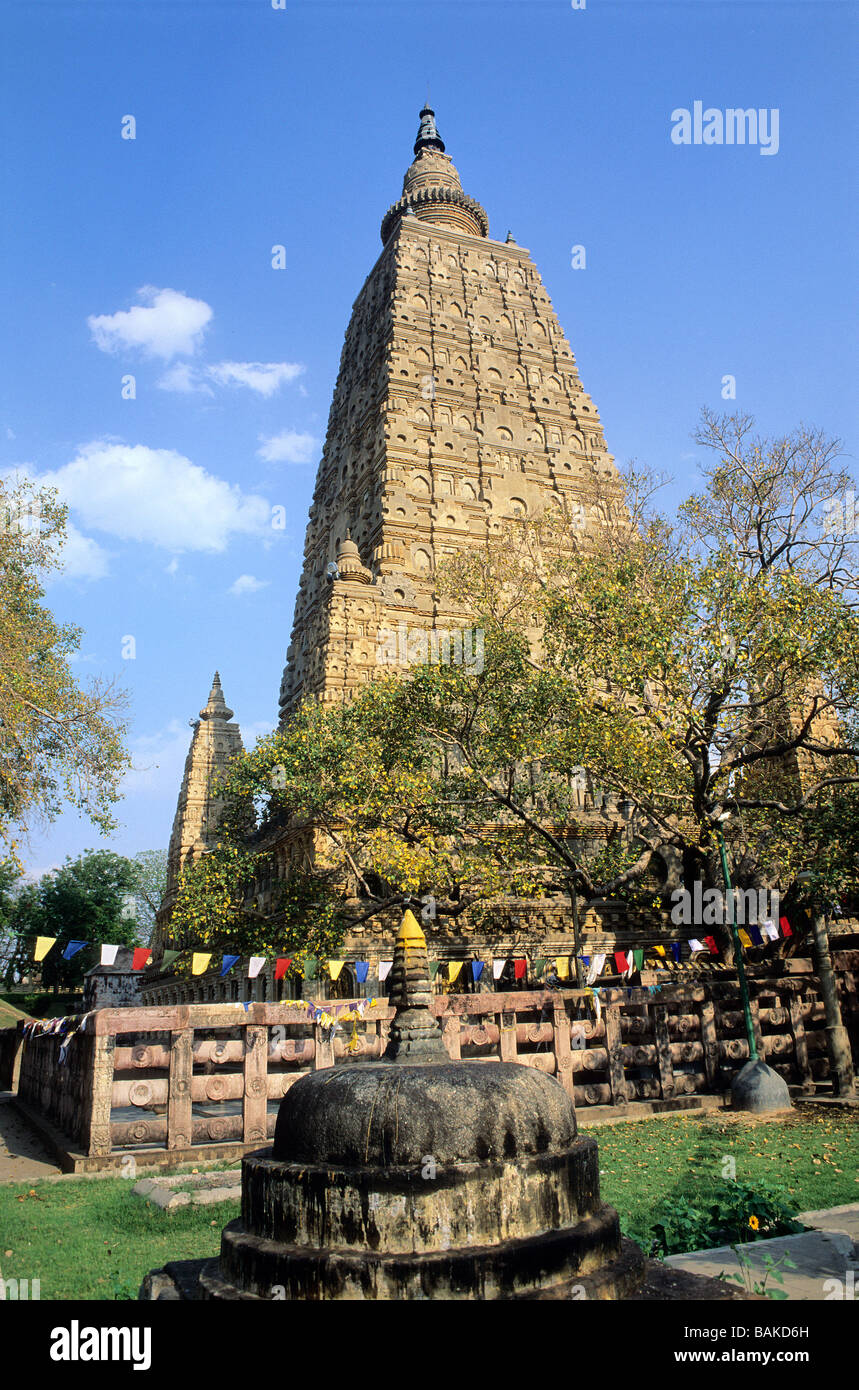 India, Bihar State, Bodhgaya, Bodhi tree and Mahabodhi temple Stock Photo