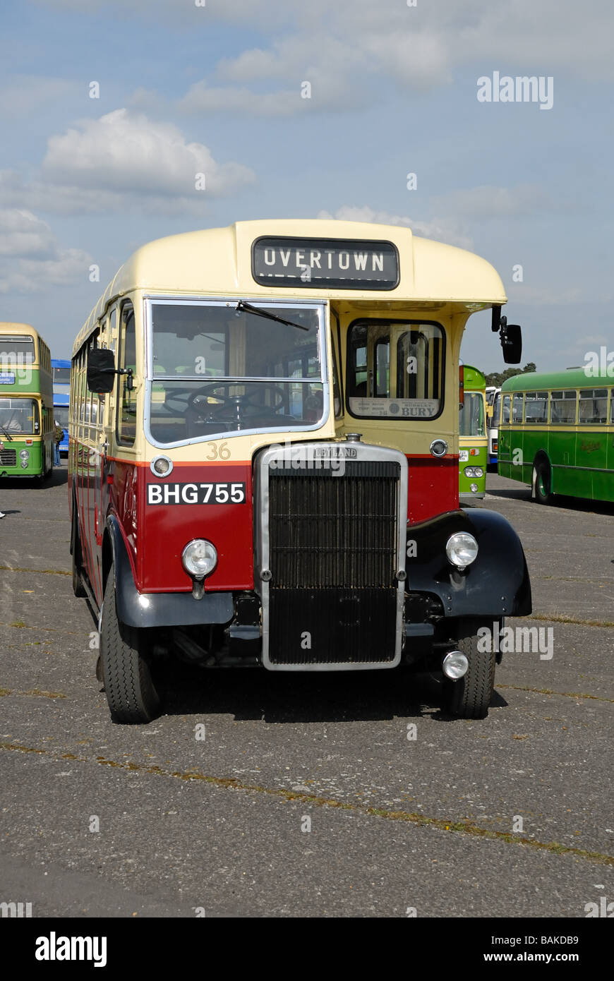Front view of BHG 755 a 1953 Leyland Tiger PS2 B39F at the Cobham Bus Museum Annual Spring Bus Coach gathering at Wisley Stock Photo